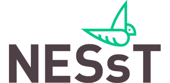 NESsT Logo