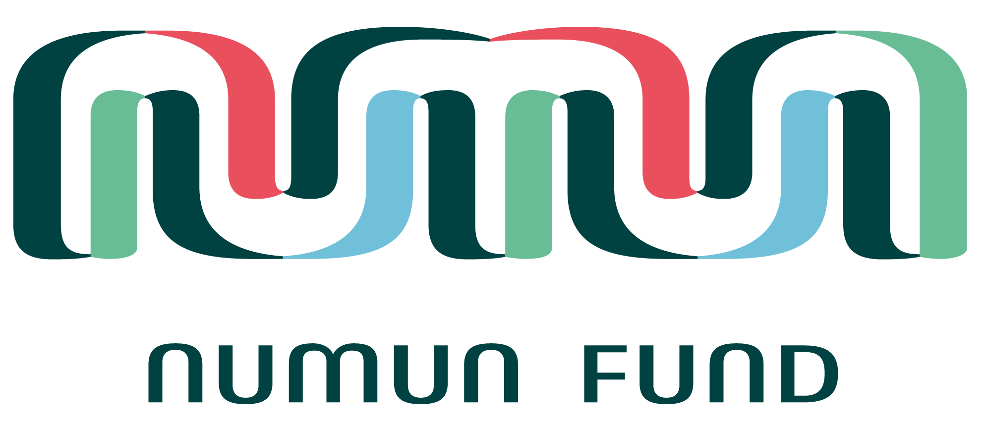 Numun Logo